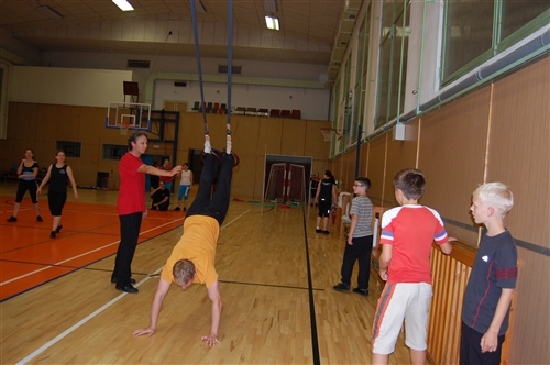 Obrázek v galerii